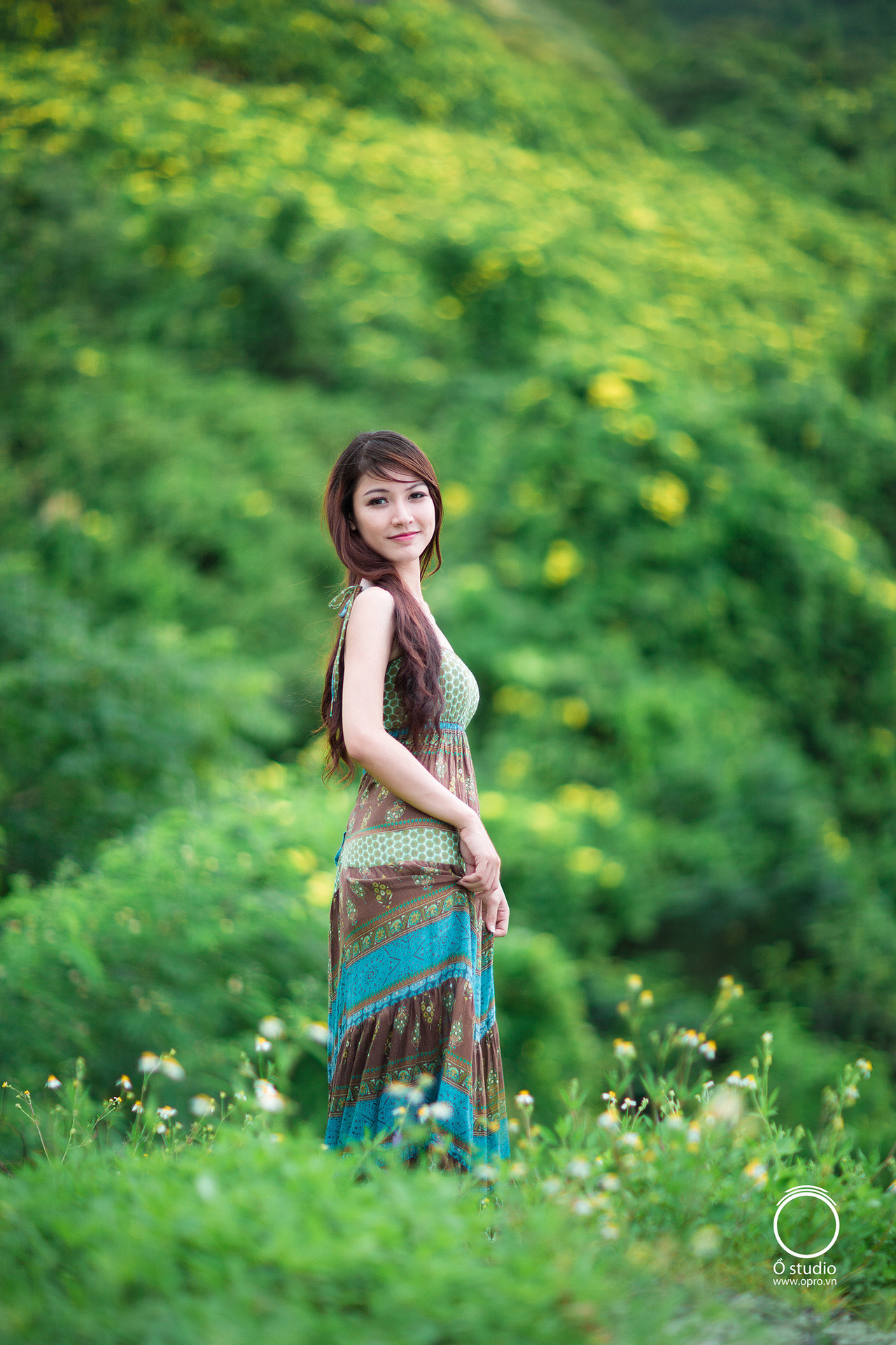 女王狗奴